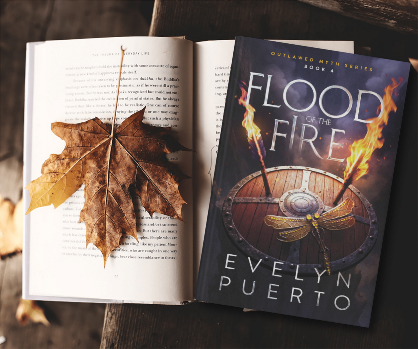 Flood of the Fire (Paperback)